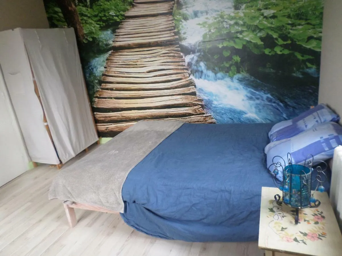 Homestay Terheson Apartment Chevaigne France
